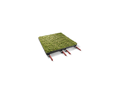Teppichplatte-Vorschau