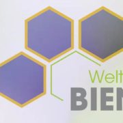 Unterstützen Sie die Welt der Bienen mit Spielgeräten von Stilum