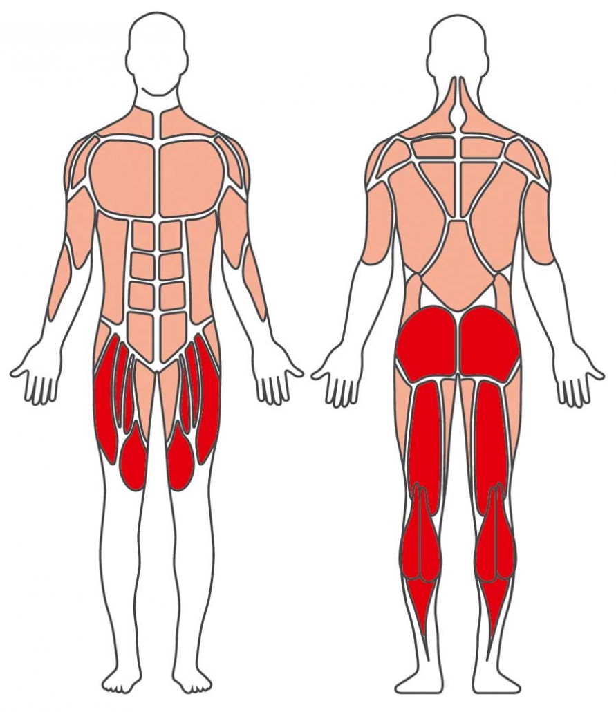 Crosstrainer Stilum Outdoor FitnessEquipment