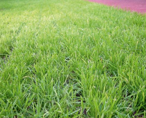 Grüner Fallschutz mit Rasengitterplatten